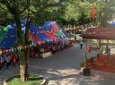 chao co chuan.jpg - 